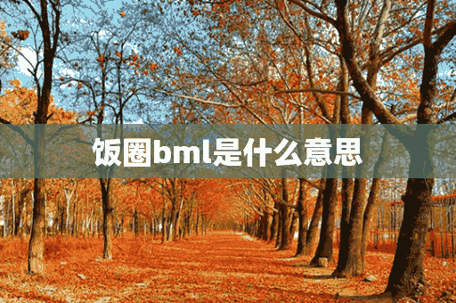 饭圈bml是什么意思